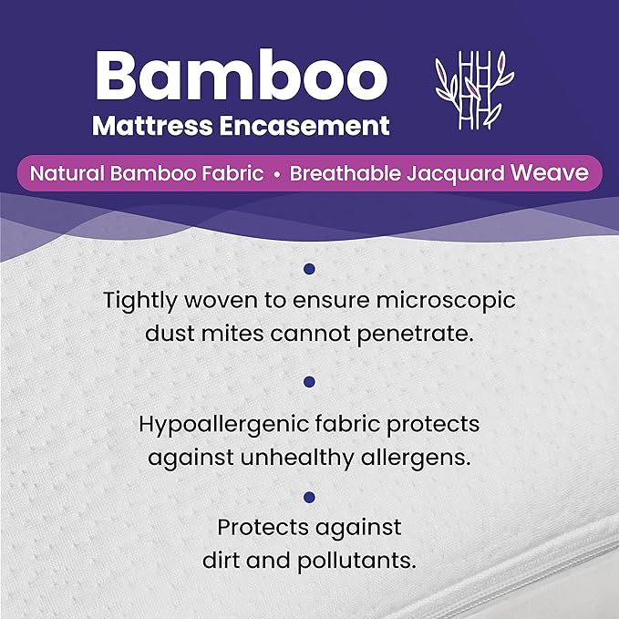 Queen Size Waterproof Bamboo Mattress Encasement by Slumberfy - Premium Skin-Safe Mattress Protector with 360° EZ Zipper, Lab-Tested Bed Bug, Zippered Encasement (60x80 in)