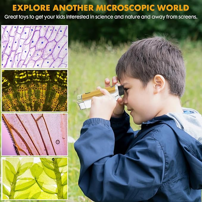 Portable Microscope for Kids, 100x-250x Zoom with LED Lights, Alloy Pocket Microscope for Boys & Girls, Educational Science Kit (Gold)