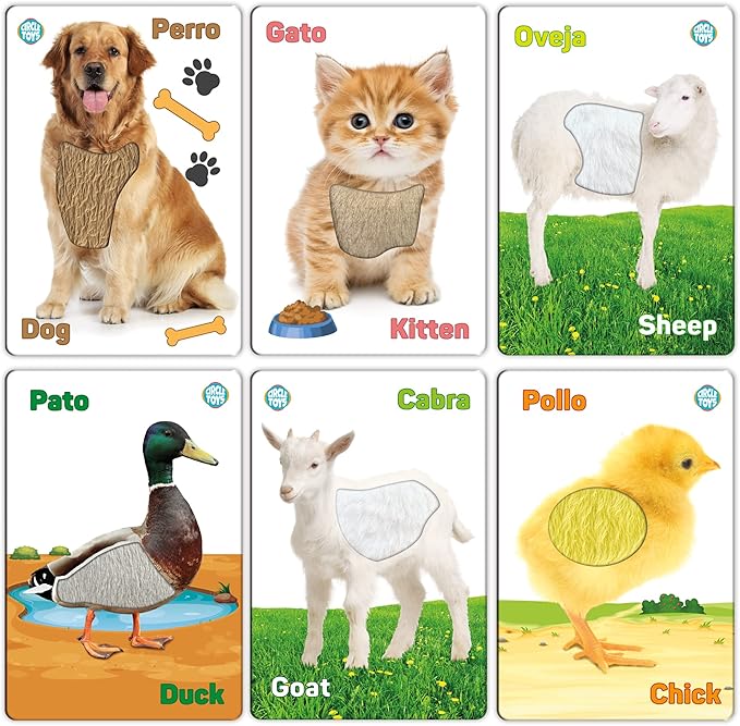My Touch and Feel English Spanish Bilingual Picture Double Sided Sensory Flash Cards for Infant, Toddlers, Kids, Learn Animals, Fruits, Objects and Vehicles, Fun Learning and Educational Flashcards