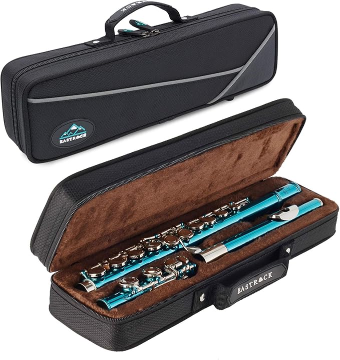 EastRock Closed Hole Flutes C 16 Key for Beginner, Kids, Student -Nickel Flute with Case Stand and Cleaning kit (Sea Blue)