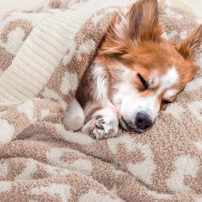 NEXHOME PRO Leopard Soft Blanket Twin Size, Fuzzy Throw Blanket for Couch Bed Sofa Picnic, Knit Blankets for Women Gifts Beige 60 x 80 inches