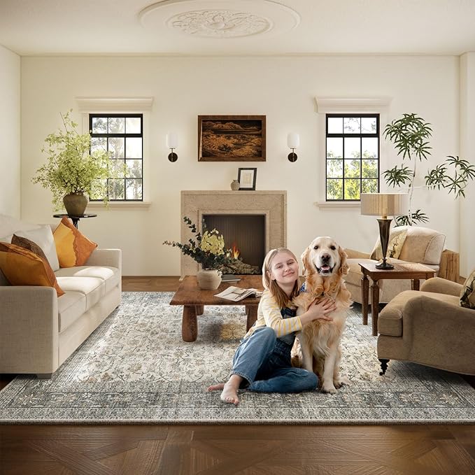 Machine Washable Rugs for Living Room: 6x9 Area Rugs for Bedroom Vintage Stain Resistant Non Slip Low Pile Soft Boho Carpet for Kitchen Dining Room Farmhouse Kids Room Nursery