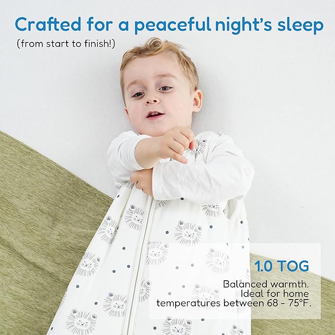 TotAha Toddler Sleep Sack 1.0 TOG for 2T-3T-4T, Premium Soft Wearable Blanket Baby Sleeping Bag with 2-way Safe Zipper for Girl Boy