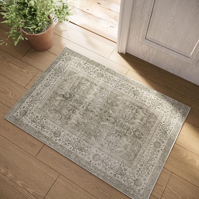 Machine Washable Small Rugs for Kitchen: Door Mat Indoor Entrance 2x3 Throw Rug Stain Resistant Non-Slip Low Pile Soft Carpets for Entryway Front Door Indoor Entrance Entry Bedroom