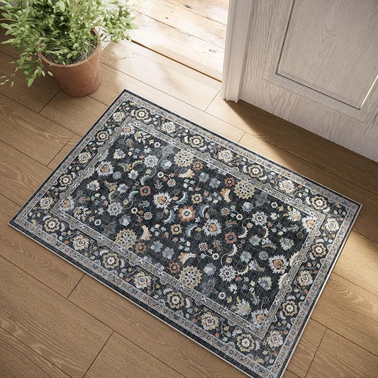 Washable Small Area Rugs for Kitchen: Door Mat Indoor Entrance 2x3 Throw Rug Stain Resistant Non-Slip Low Pile Soft Carpets for Entryway Front Door Indoor Entrance Entry Bedroom