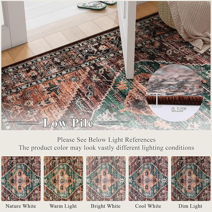 Lahome 6x9 Rugs for Living Room - Washable Non-Slip Ultra-Thin Living Room Carpet, Non-Shedding Oriental Vintage Distressed Carpet Rug for Dining Room Bedroom Office